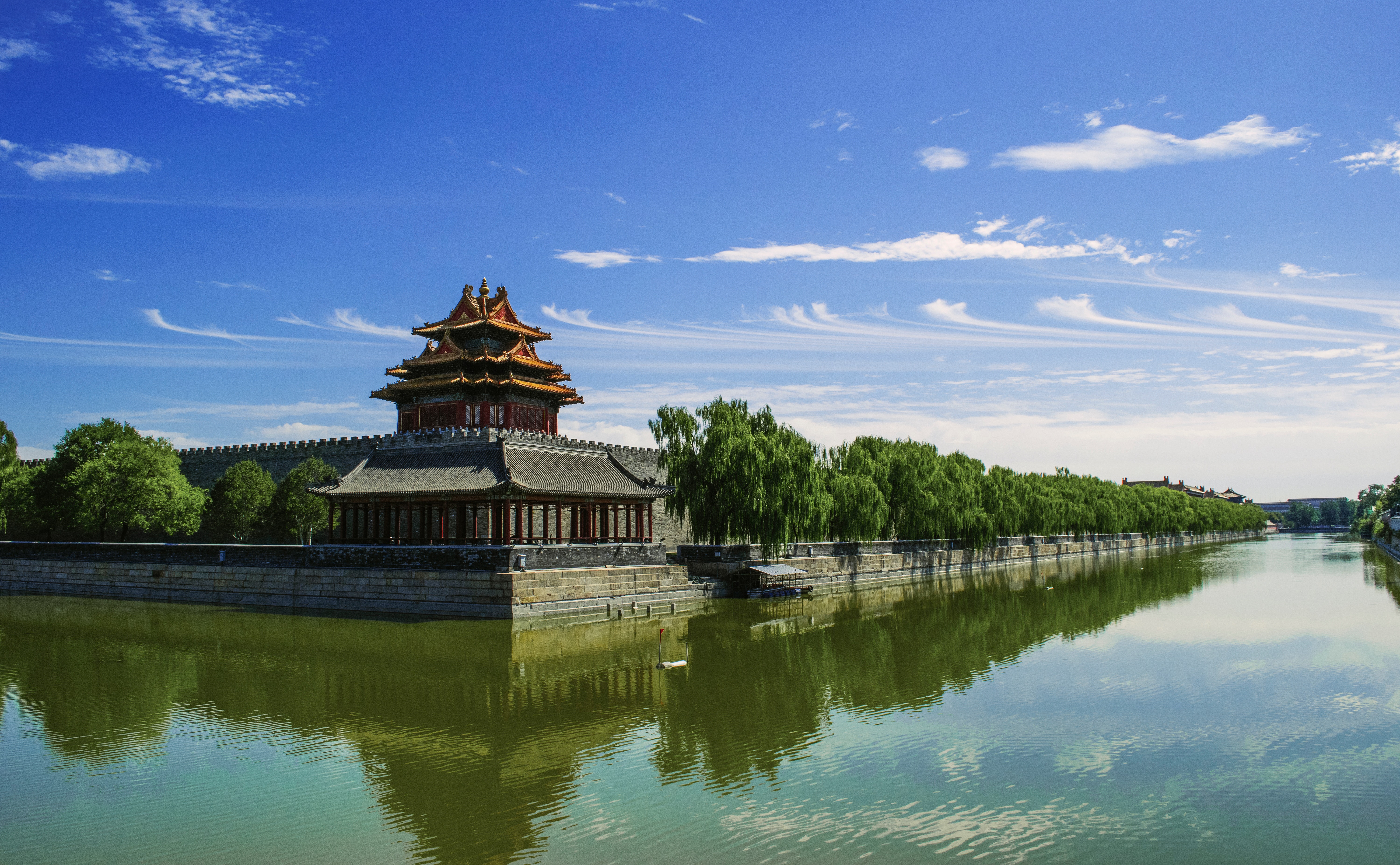 Study Chinese 